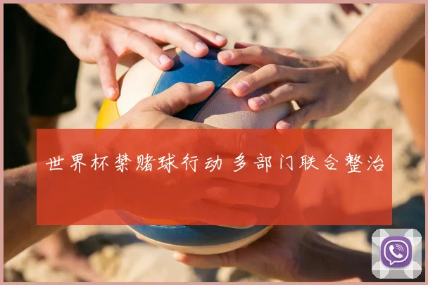 世界杯禁赌球行动 多部门联合整治