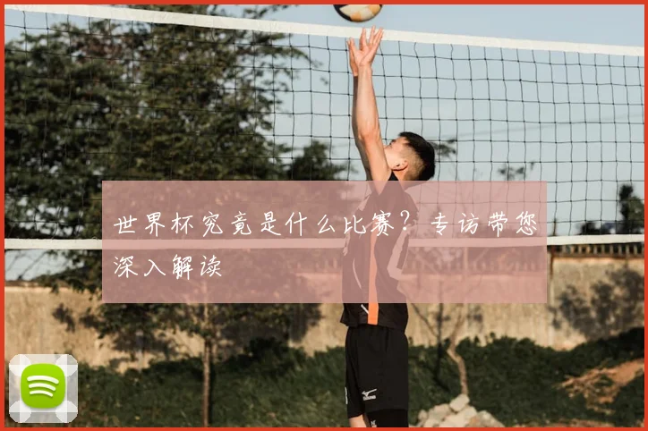 世界杯究竟是什么比赛？专访带您深入解读