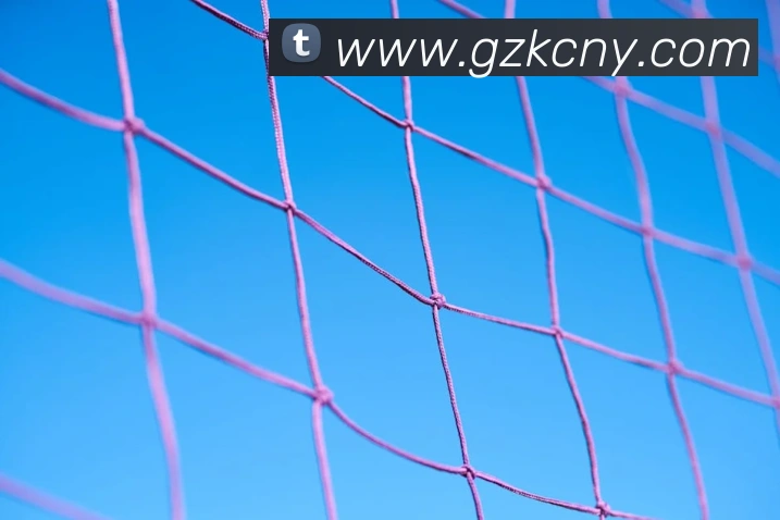 买球官方APP 体育赛事宣传图